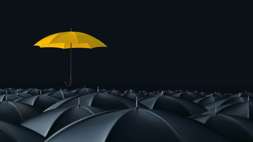 blog top zone image