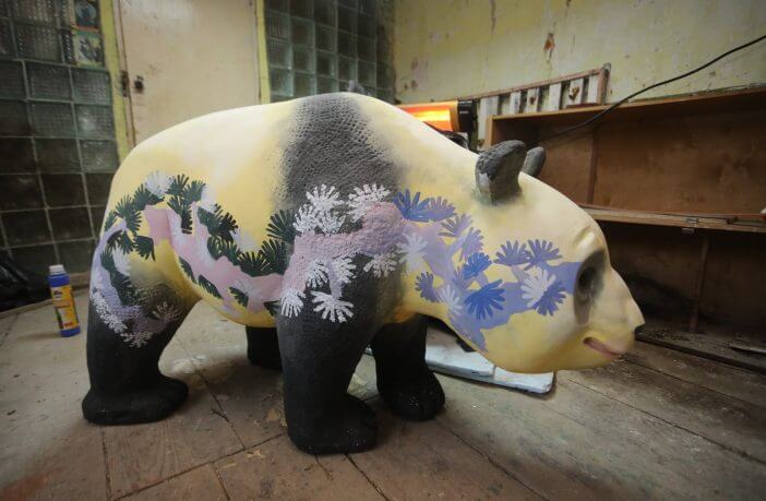 For the Chinese New Year, 15 sculptures of pandas are being painted in Lviv