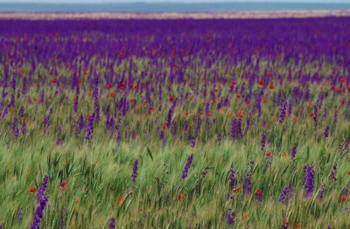 Ten natural wonders of Ukraine that are a must see