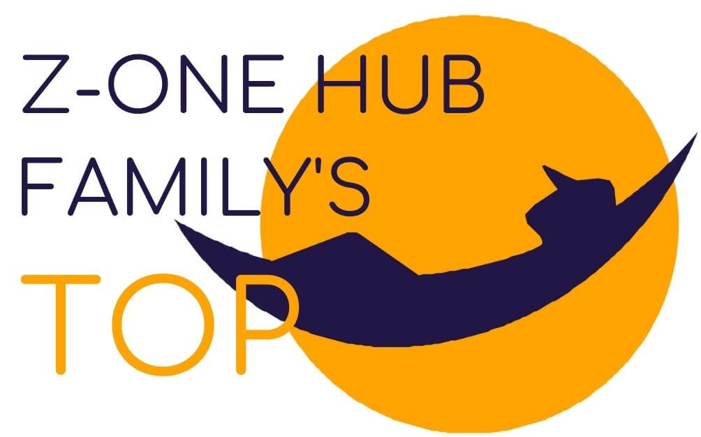 Z-One Hub Family’s TOP. Our recommendations;)